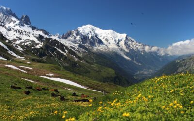 Expo TMB – Une histoire de randonnée autour du Mont Blanc